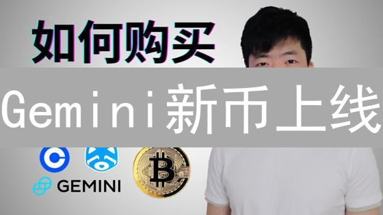 Gemini新币上线：机遇与挑战并存的投资分析
