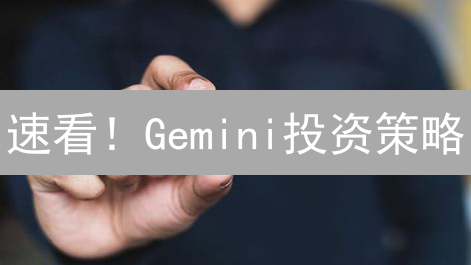 速看！Gemini投资策略：你的加密货币财富密码？