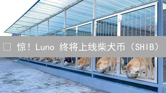 😱 惊！Luno 终将上线柴犬币（SHIB）？三大信号抢先看！