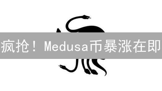 疯抢！Medusa币暴涨在即？新手必备购买指南，速看！