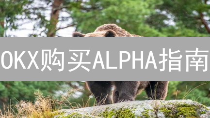 OKX购买ALPHA指南：AlphaFinance代币购买教程
