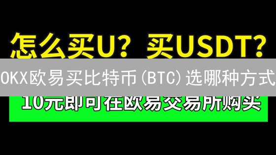 OKX欧易买比特币(BTC)选哪种方式？新手购买BTC方法对比！