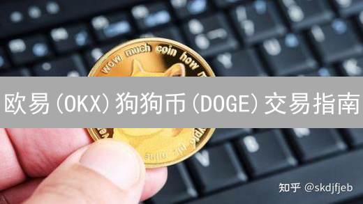 欧易(OKX)狗狗币(DOGE)交易指南：新手快速上手教程 (2024)