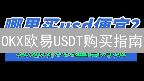 OKX欧易USDT购买指南：新手必看！快速入门，避坑指南！