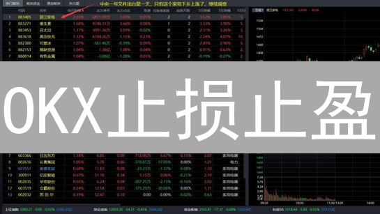 OKX止损止盈：加密货币交易的风险管理利器？看这篇就够了！