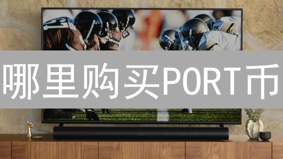哪里购买PORT币？购买渠道与价格影响因素分析