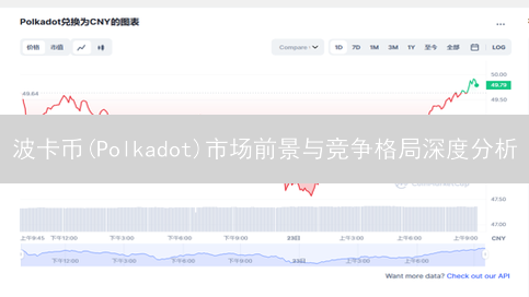 波卡币(Polkadot)市场前景与竞争格局深度分析