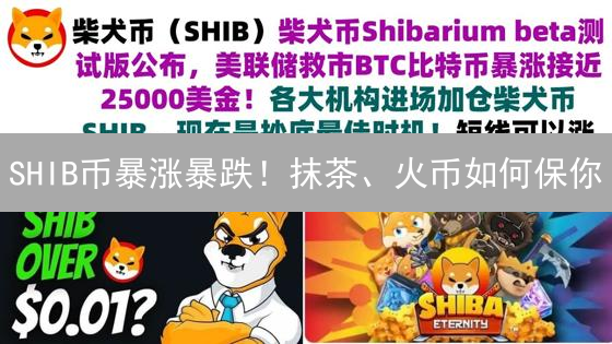 SHIB币暴涨暴跌！抹茶、火币如何保你？5招必看！