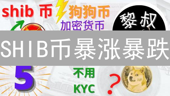 SHIB币暴涨暴跌？BitMEX最佳买卖点位揭秘！🔥