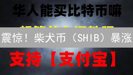震惊！柴犬币（SHIB）暴涨？欧易OKX用ETH轻松购入全攻略！