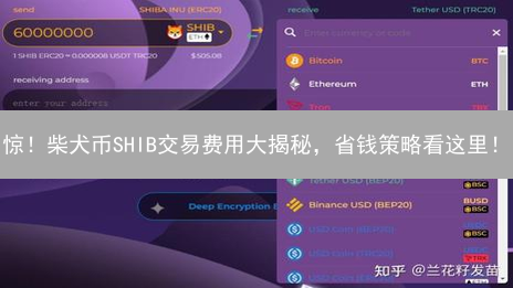惊！柴犬币SHIB交易费用大揭秘，省钱策略看这里！