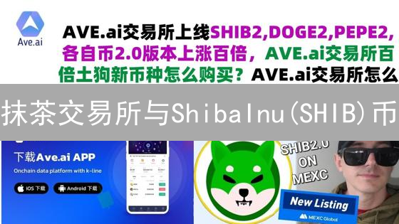 抹茶交易所与ShibaInu(SHIB)币：区别与投资分析