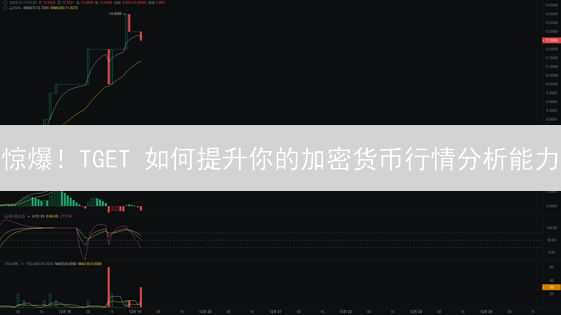 惊爆！TGET 如何提升你的加密货币行情分析能力？