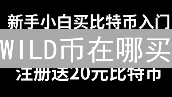 WILD币在哪买？新手购买WilderWorld代币指南与平台对比