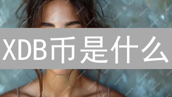XDB币是什么？Digitex交易所与零手续费交易详解