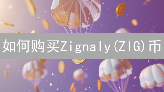 如何购买Zignaly(ZIG)币：详细购买指南与注意事项